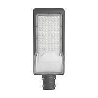 Уличный светодиодный светильник 100W 6400K AC230V/ 50Hz цвет серый  (IP65), SP3033 FERON